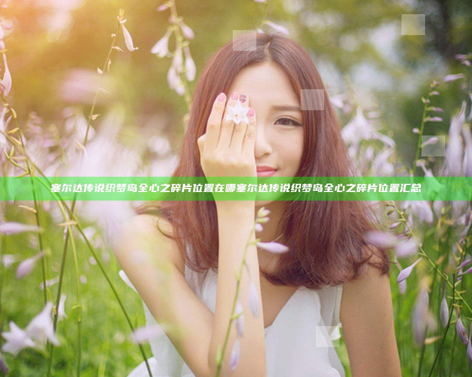 塞尔达传说织梦岛全心之碎片位置在哪 塞尔达传说织梦岛全心之碎片位置汇总