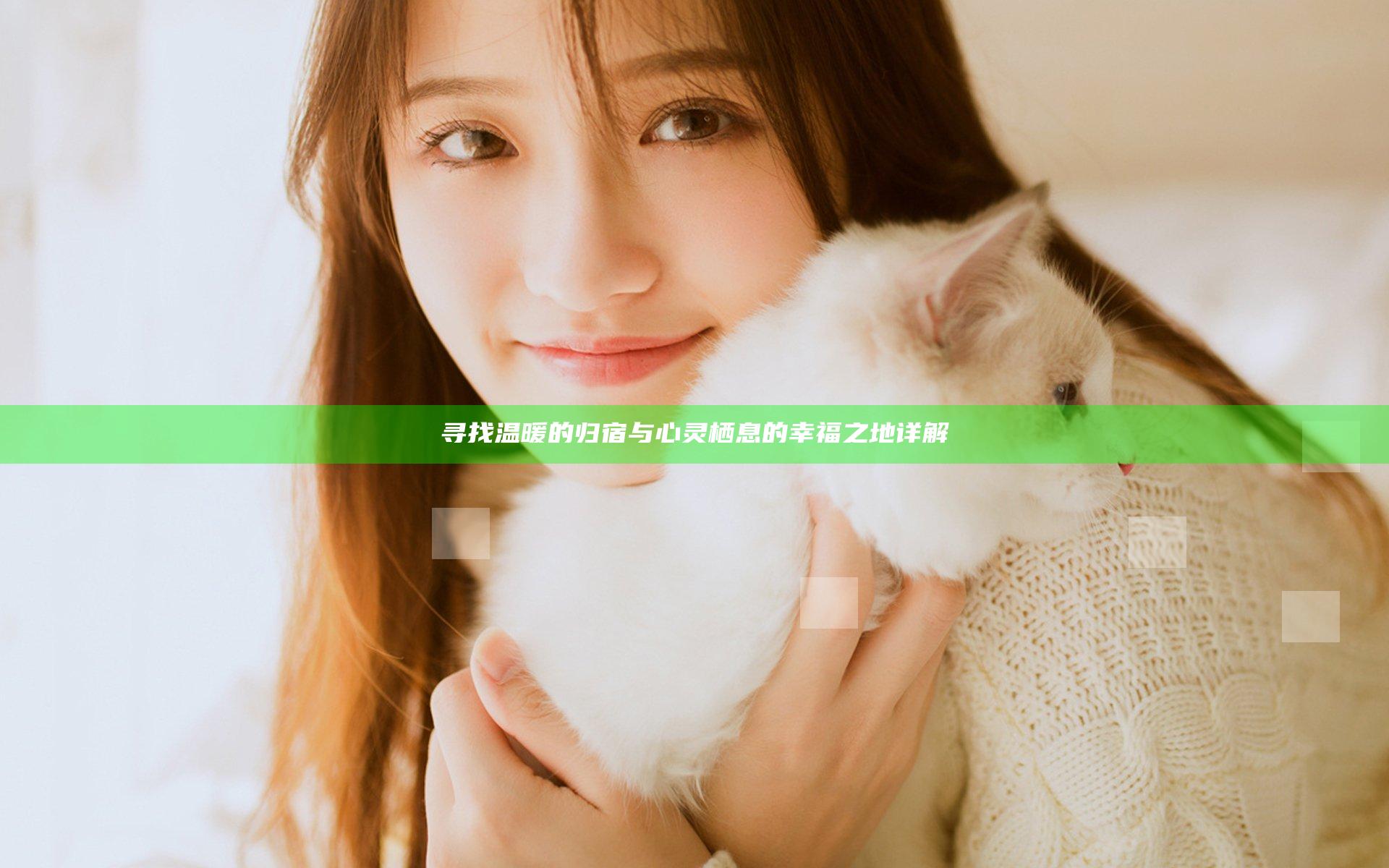 寻找温暖的归宿与心灵栖息的幸福之地详解