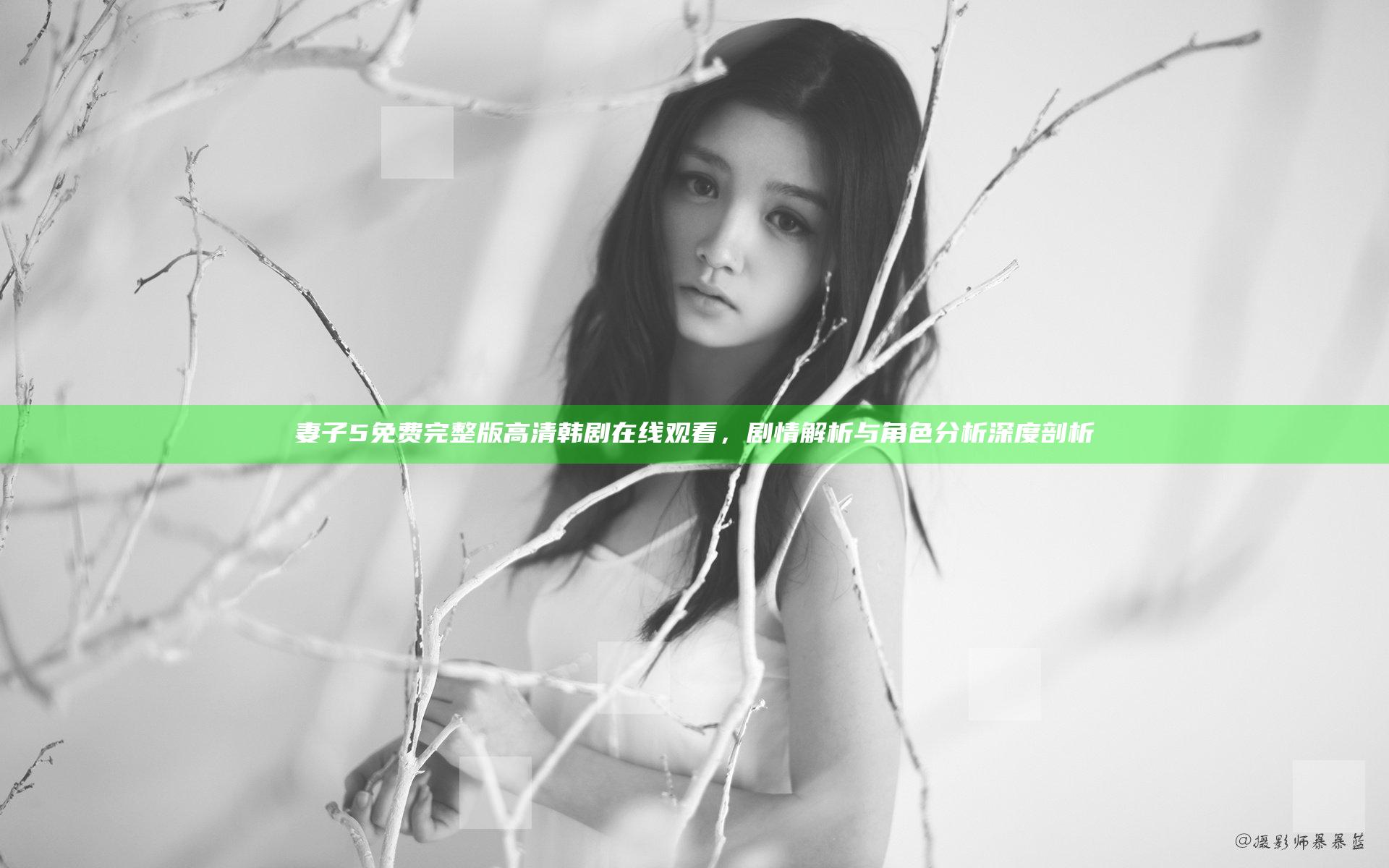 妻子5免费完整版高清韩剧在线观看，剧情解析与角色分析深度剖析