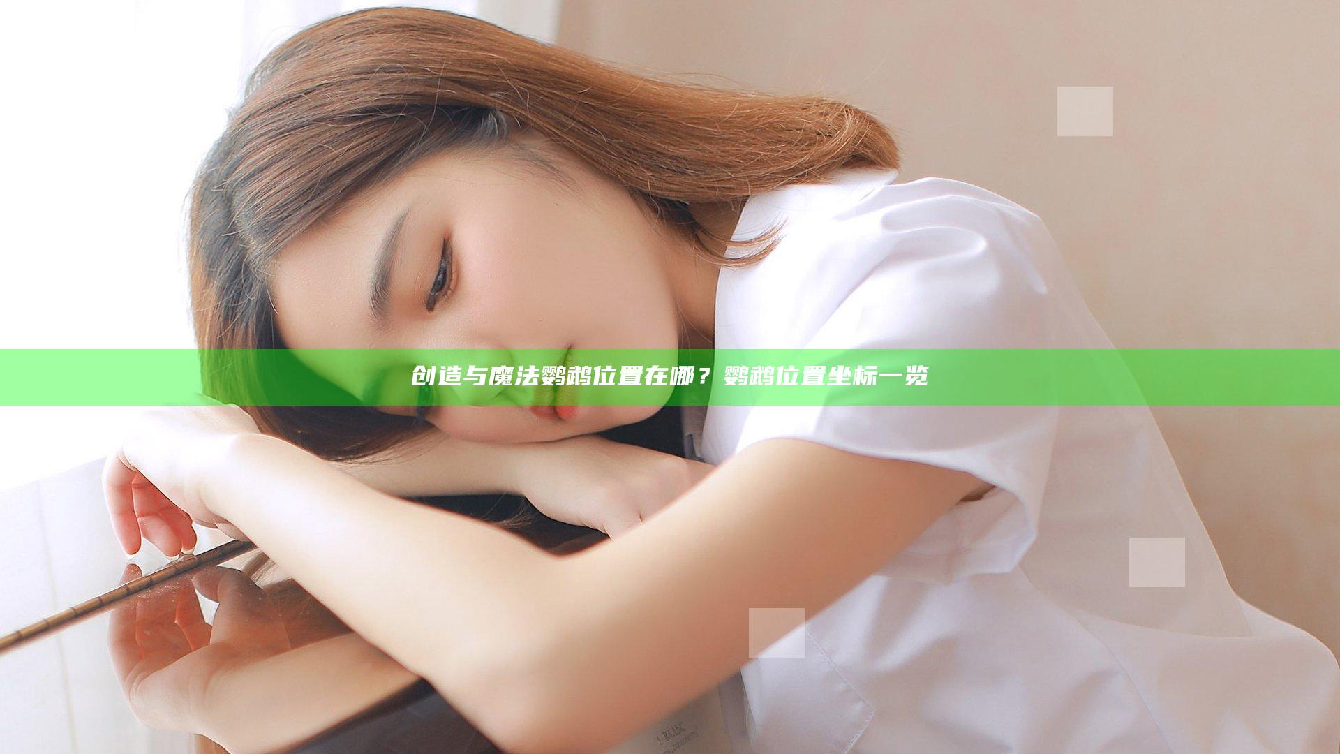 创造与魔法鹦鹉位置在哪？鹦鹉位置坐标一览