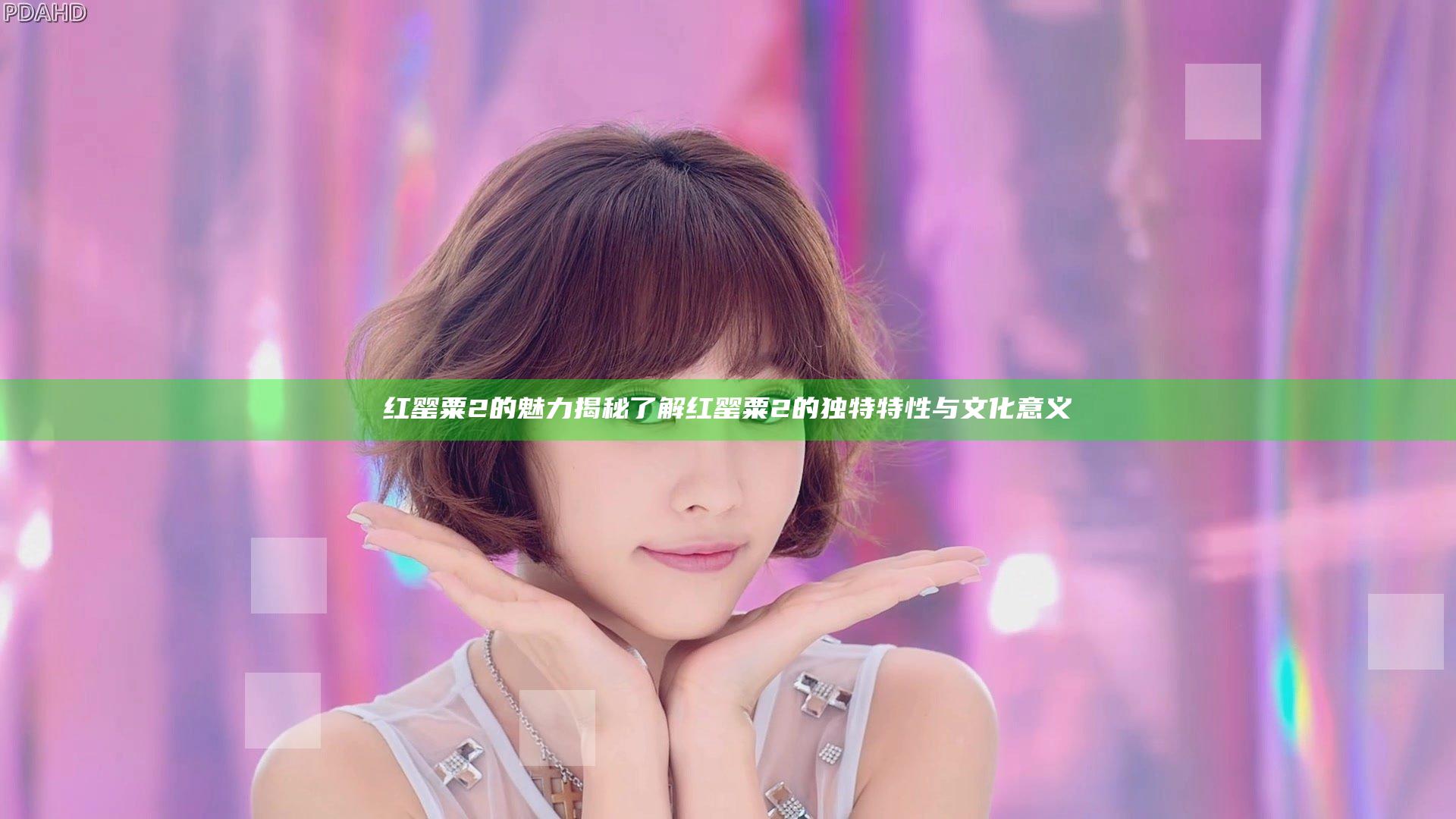 红罂粟2的魅力揭秘 了解红罂粟2的独特特性与文化意义